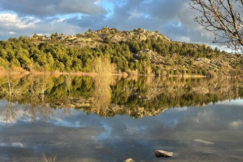 PHOTO-2026-03-25-12-10-21