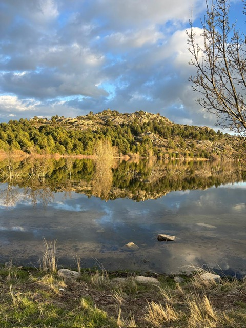 PHOTO-2026-03-25-12-10-21